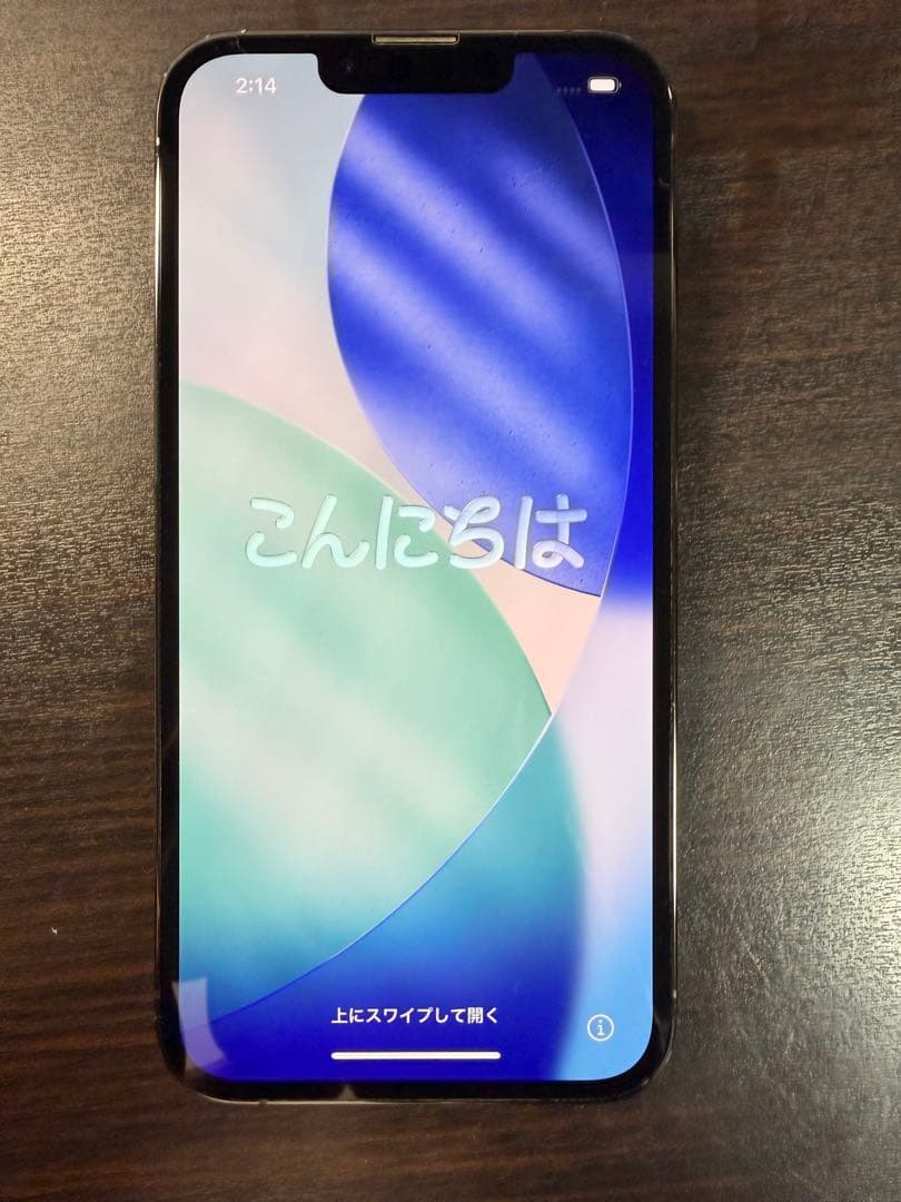 Apple iPhone 13 Pro 1TB グラファイト