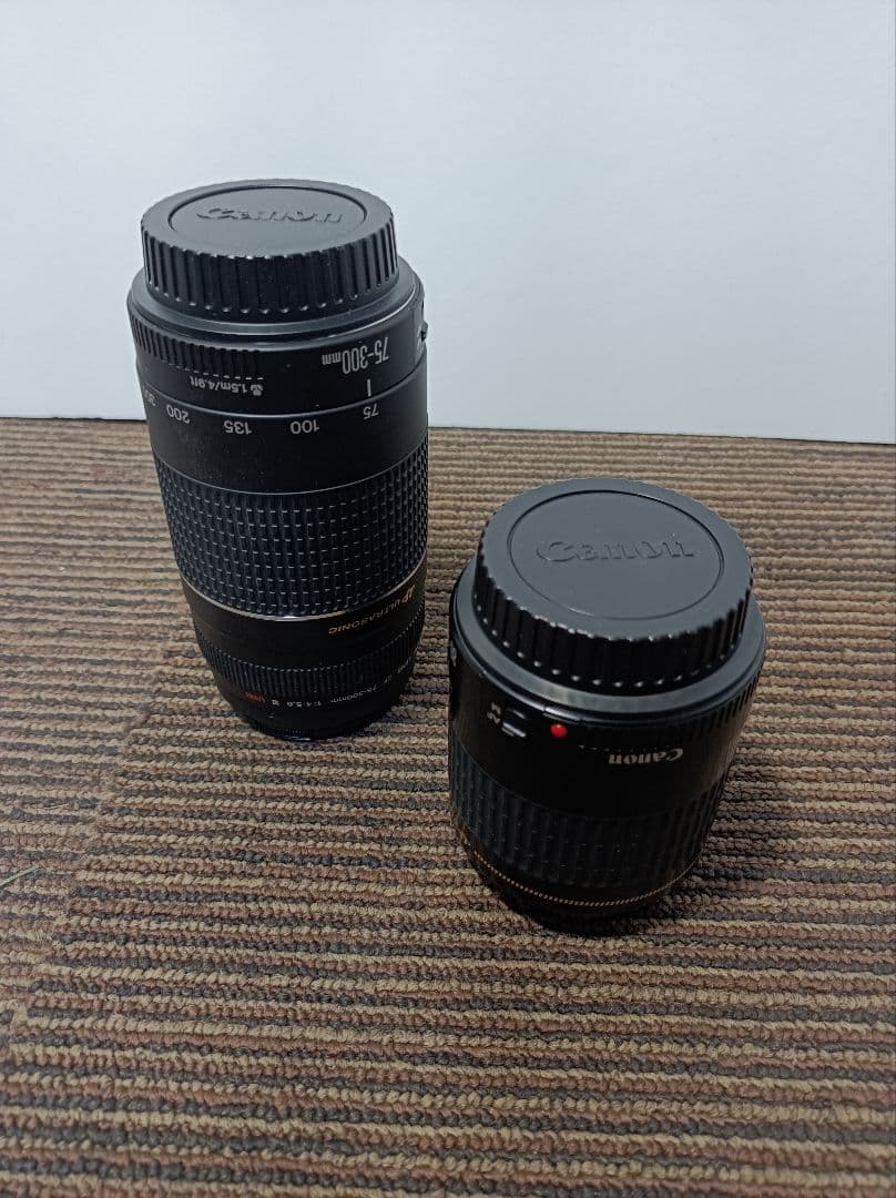 Canon カメラ用レンズ２種（ジャンク扱い）