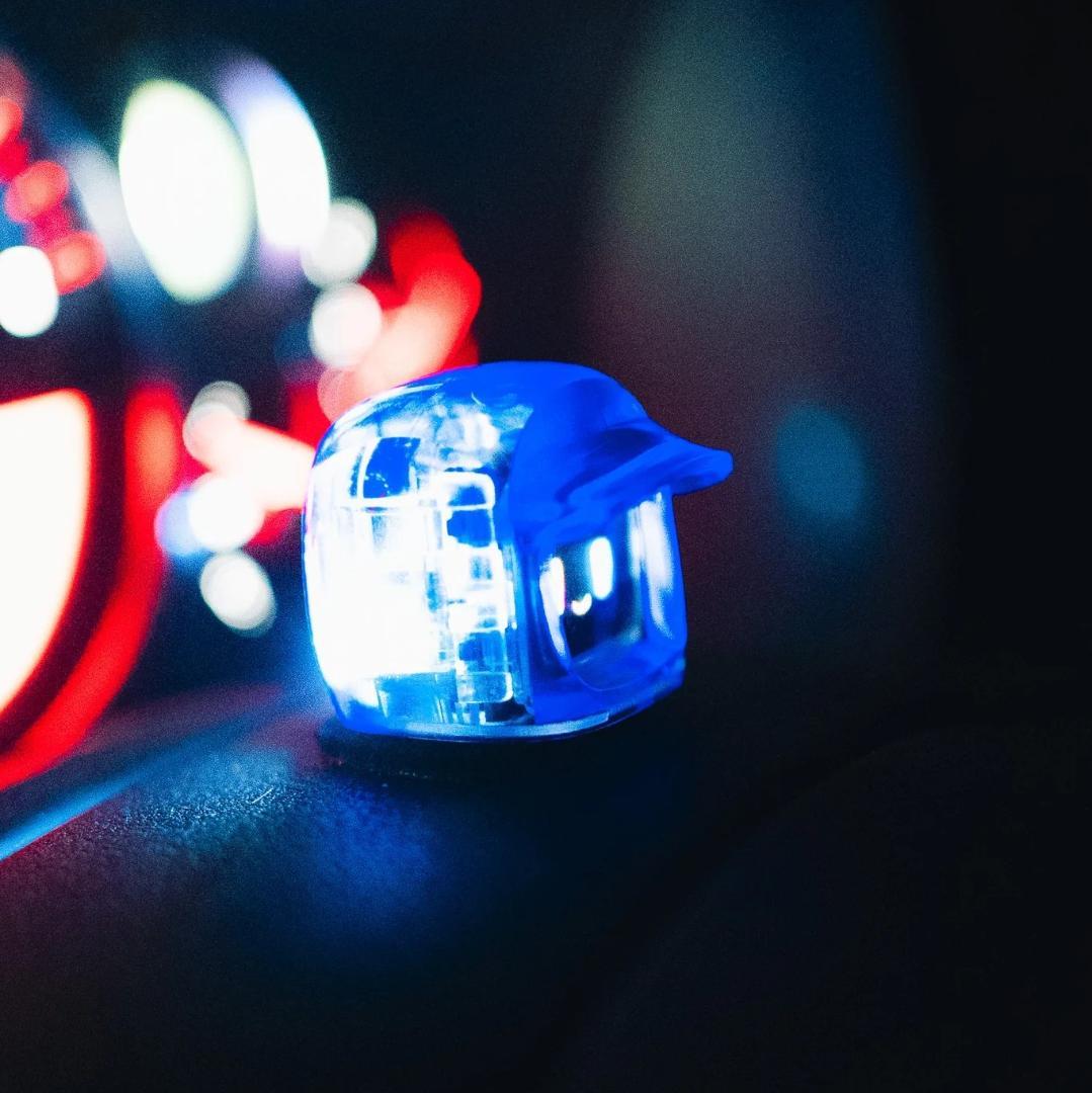 限定版 ダサイ もち 3 FUTURES MOCHI ブルー 青 DASAI