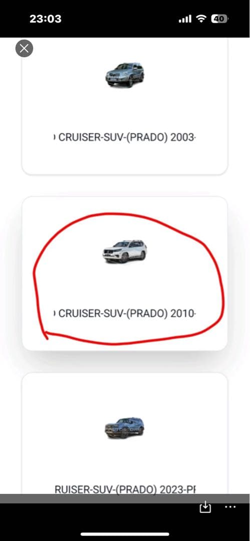 ヨーグリーナさん専用 プラド20%