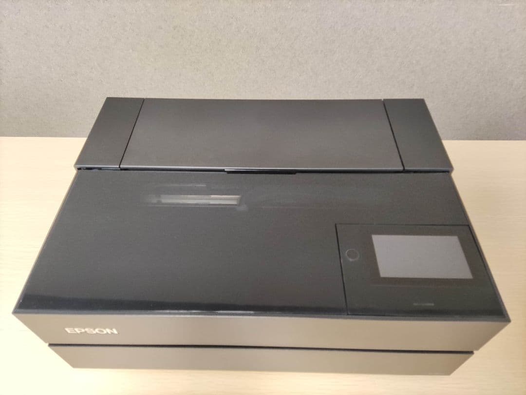 EPSON SC-PX1V エプソン 10色顔料インク｜2024年12月後半購入