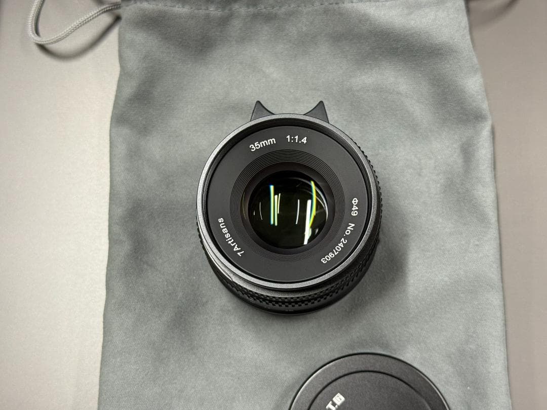 SONY α6100 ミラーレスカメラ SIGMAレンズセット