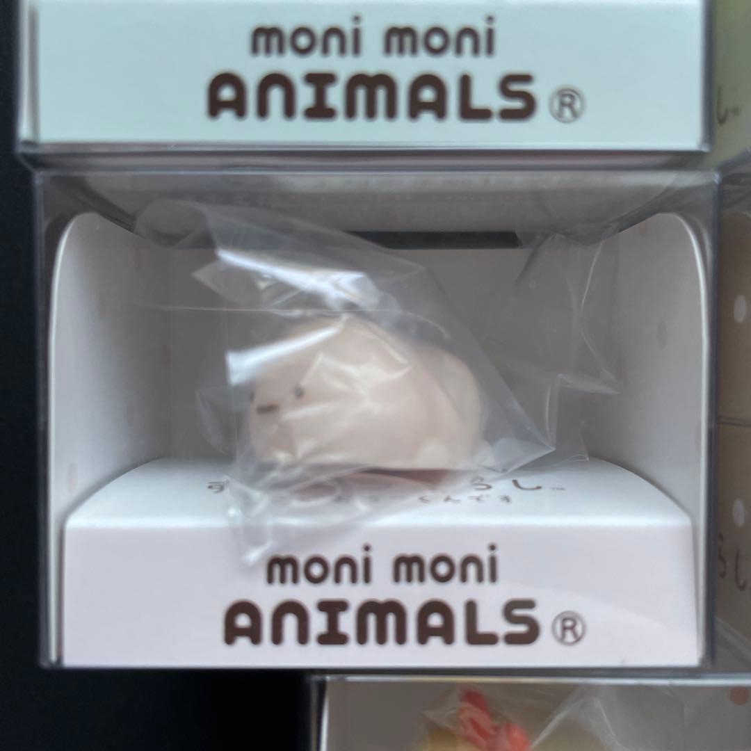 もにまるず　すみっコぐらし　5個セット