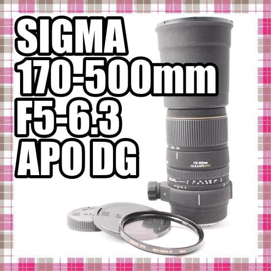 ✨超望遠✨美品✨SIGMA 170-500mm F5-6.3 APO DG