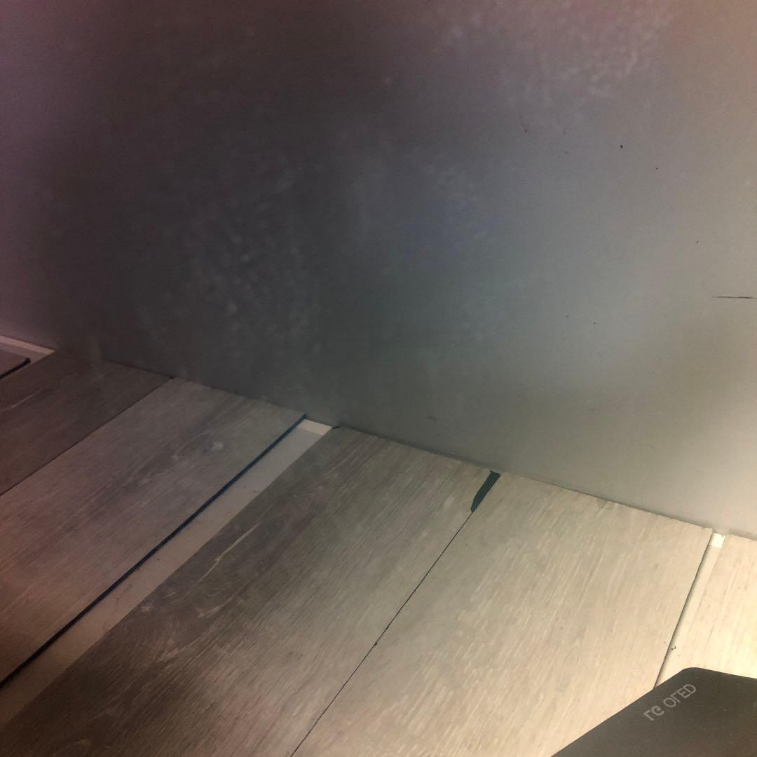 LG OLED テレビ 55型 19年製OLED55C8PJA 大型 有機EL