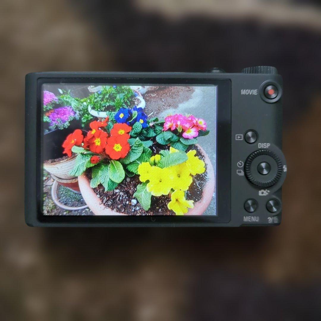 SONY DSC-WX350 コンパクトデジタルカメラ