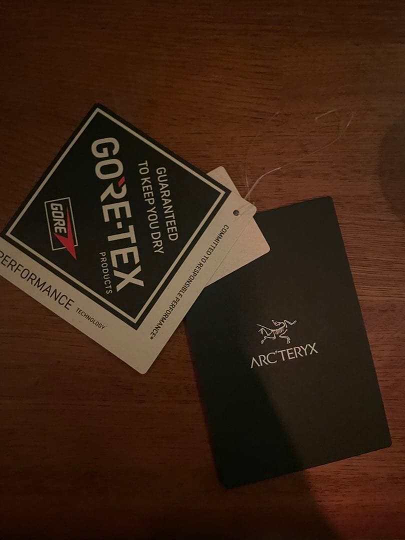 アークテリクス beta SL ジャケット