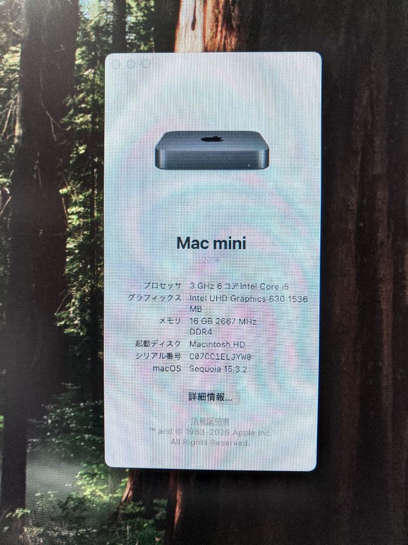 純正マジックキーボード付き/Apple Mac mini2018 メモリ16GB