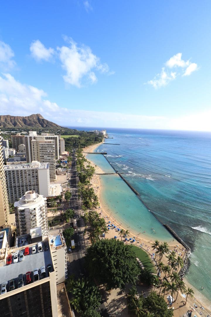 作例あり！Canon 初心者向け一眼レフ豪華5点セット