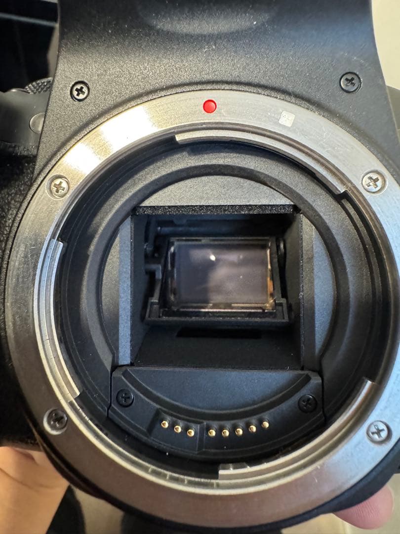 作例あり！Canon 初心者向け一眼レフ豪華5点セット