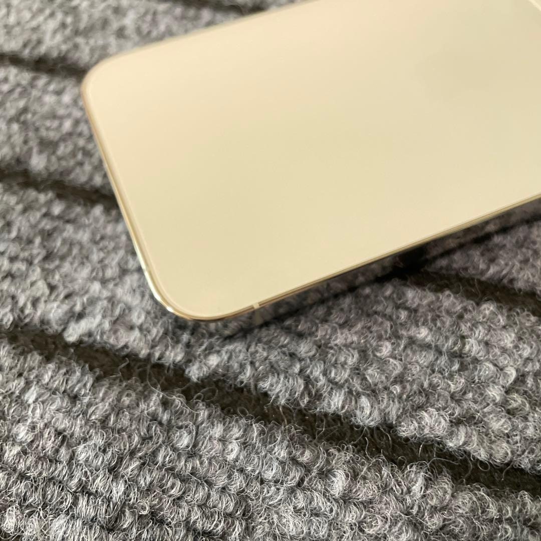 224 iPhone13 Pro 256GB SIMフリー
