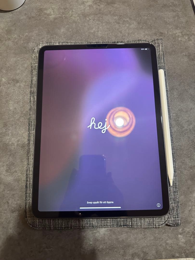 iPad Pro 11 第二世代 Wi-Fi Apple Pencil付き