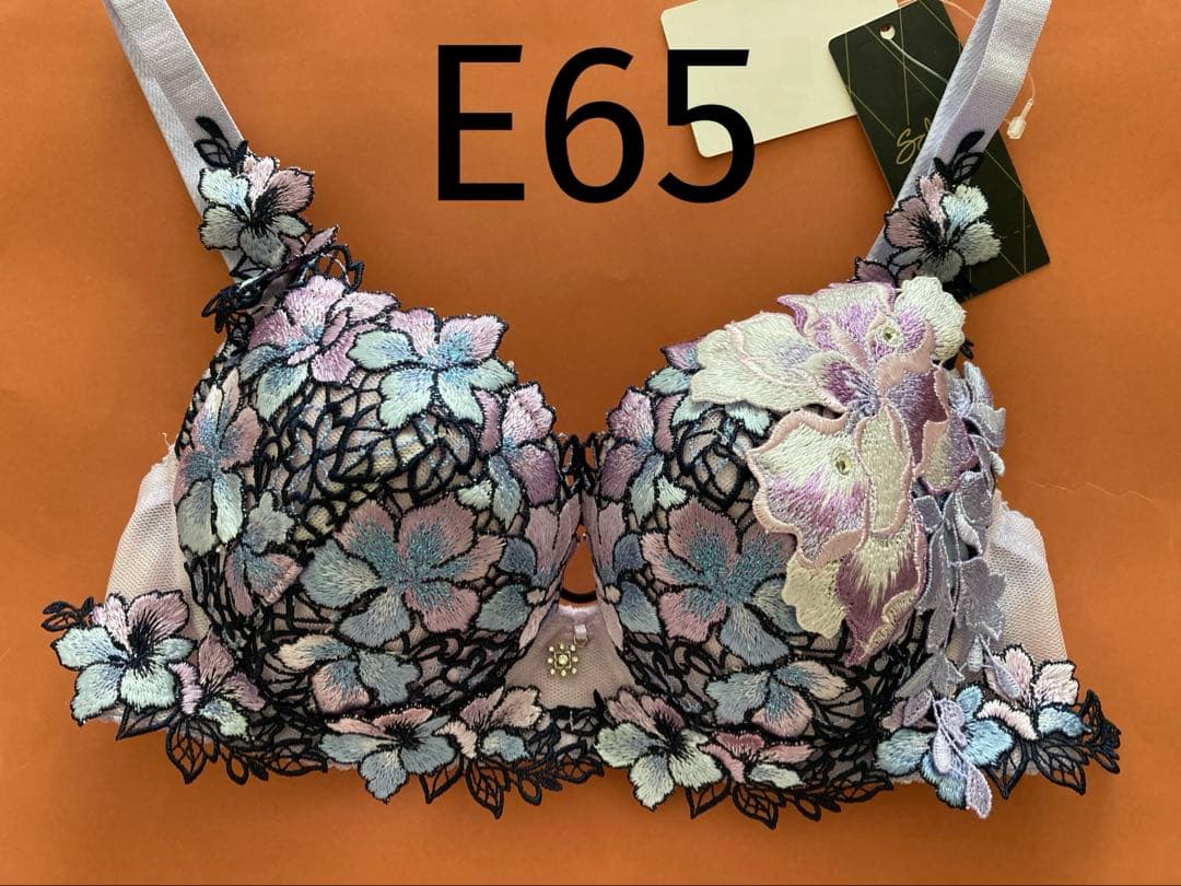 サルート/E65/ブラジャー/89G/PU