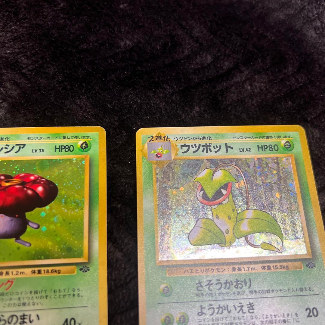 【良品〇】ポケカ　Pokéca 旧裏　ポケモンカード　草タイプ　まとめ
