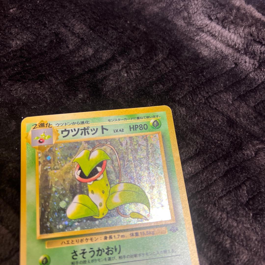 【良品〇】ポケカ　Pokéca 旧裏　ポケモンカード　草タイプ　まとめ