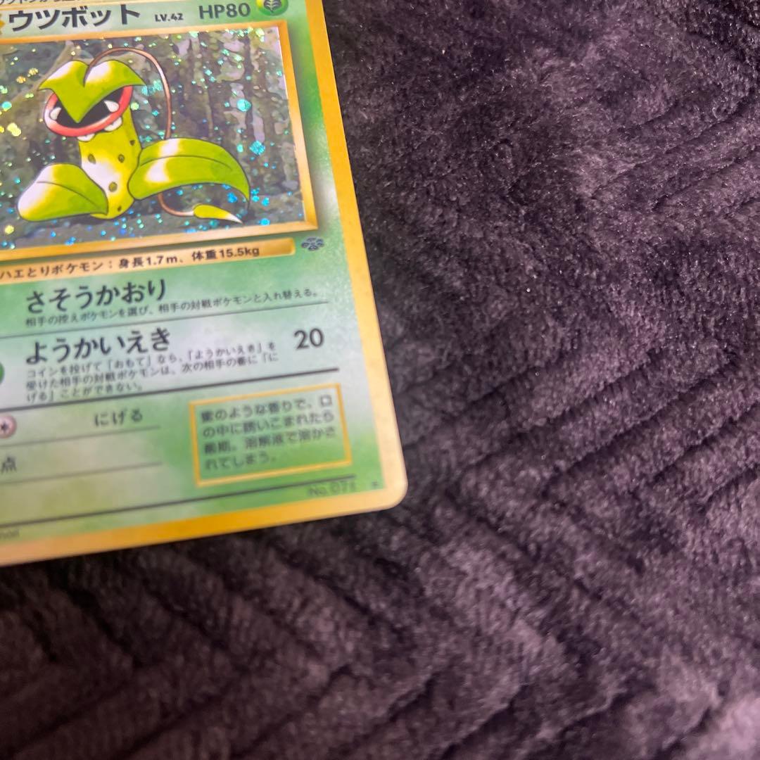 【良品〇】ポケカ　Pokéca 旧裏　ポケモンカード　草タイプ　まとめ