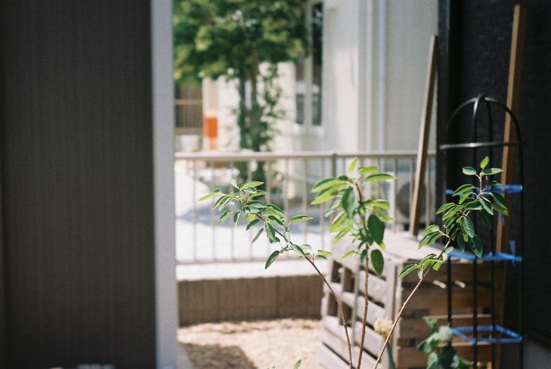 【良品】OH・シャッター幕交換済バルナックライカ DⅡ純正ブラック レンズセット