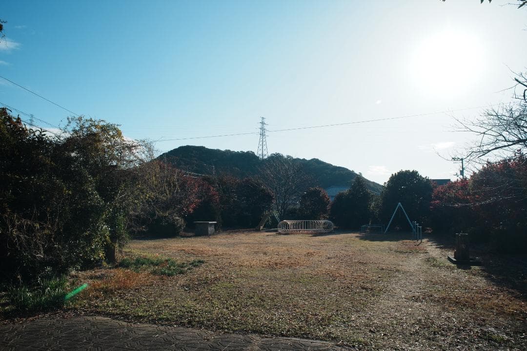 【整備＆テスト済】Nikon Af Nikkor 24mm F2.8 490