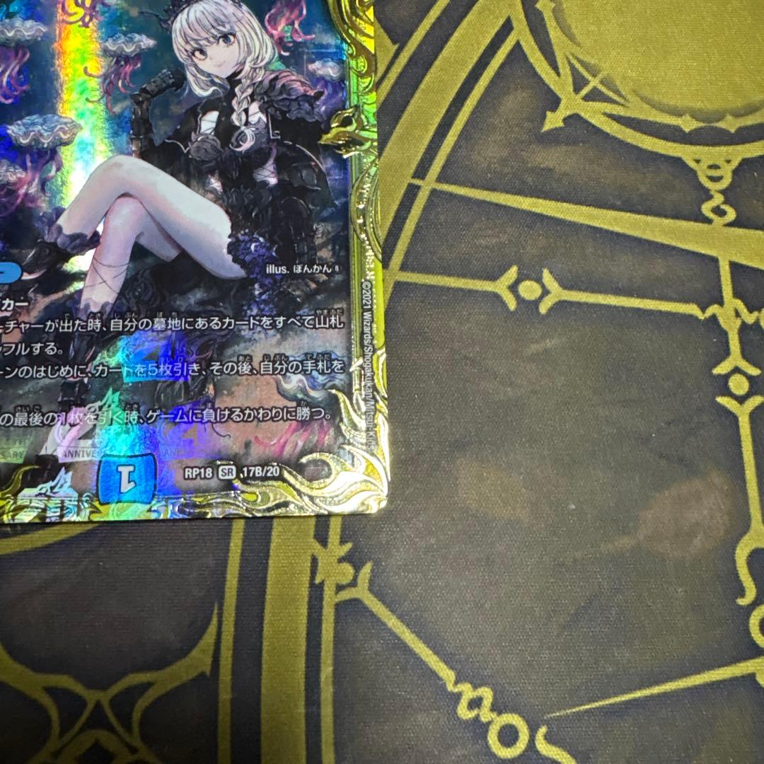 水上第九院シャコガイル　Bレア