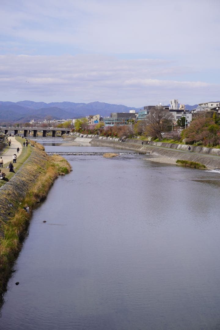 SONY (ソニー) E PZ 16-50mm F3.5-5.6 OSS