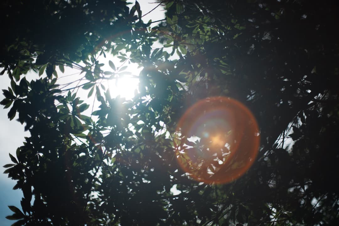 Pentax SMC Takumar 50mm F1.4 ペンタックス 666