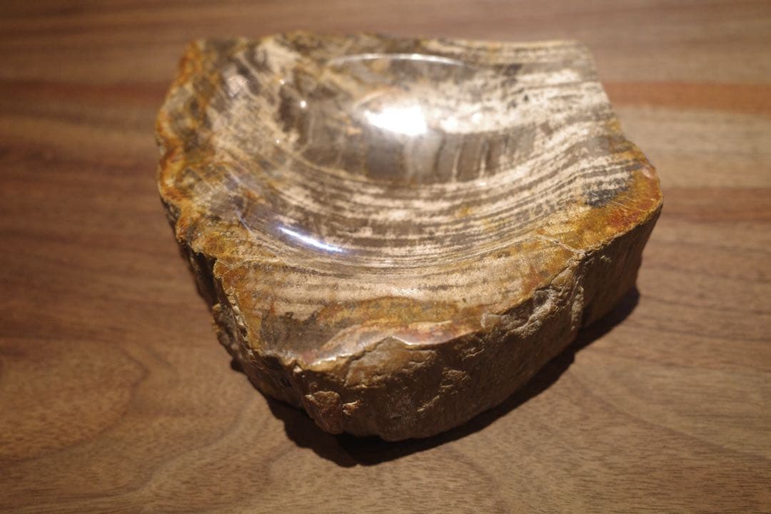 OAK 珪化木トレー