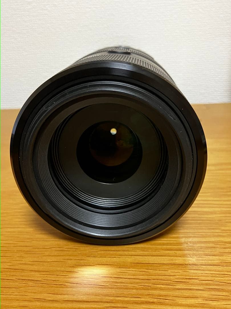 SONY 70-300mm SSMレンズ