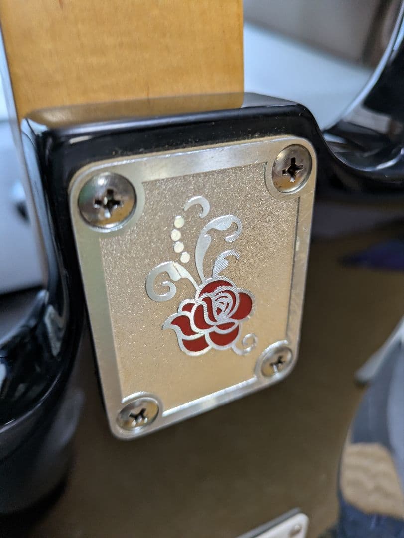 ジプシーローズ　エレキギター　ブラック　 ラメ入りGYPSY ROSE　ストラト