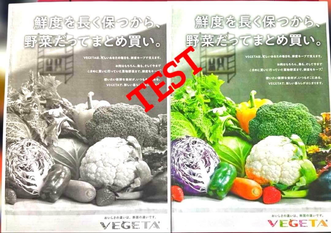 【美品】CANON PIXUS TS8630RD