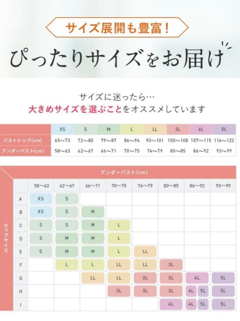 【新品未使用❣️】PGブラ ノンワイヤー Lサイズ ブラック 2枚セット
