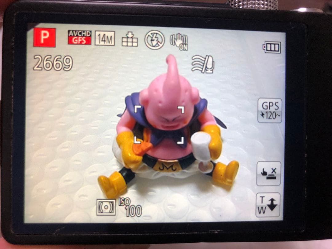 訳あり‼️Panasonic LUMIX DMC-TZ30