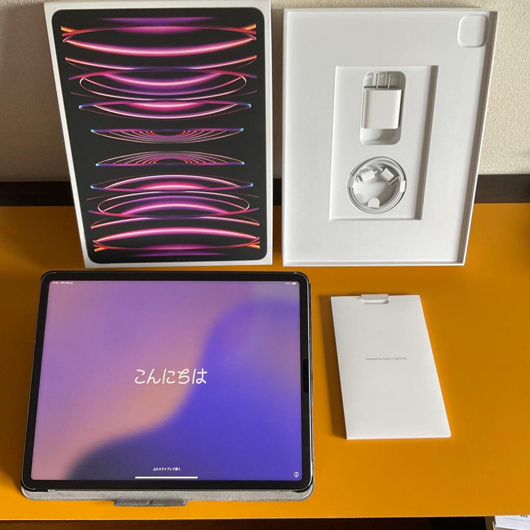 極美品 iPadPro12.9インチ第6世代 Cellular 256GB M2
