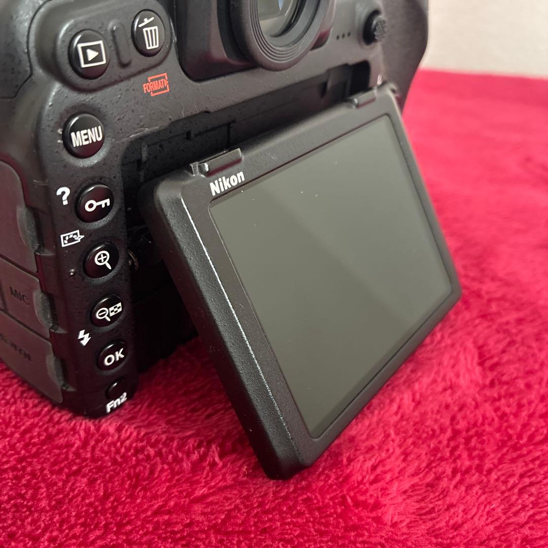 Nikon ニコン　D500 オマケ付き(kf-nfe2)