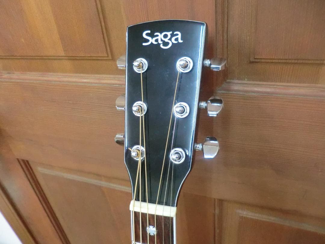 Saga A1G-C オール単板