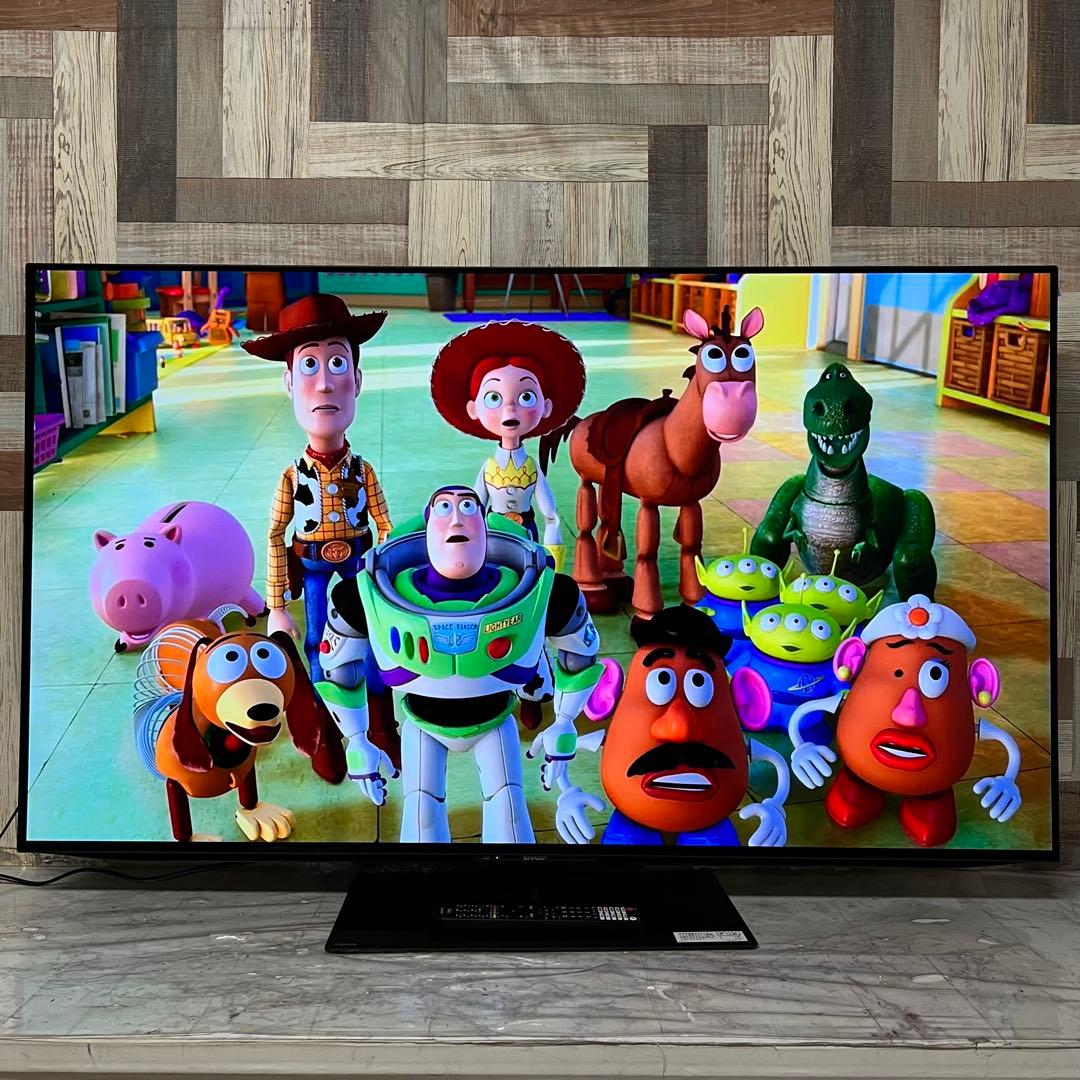 全国送料込❣️ 未使用シャープ 有機ＥＬ 4T-C55FQ12024年製