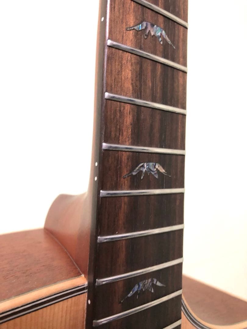 Bromo BAT4CE （ソフトケース付）