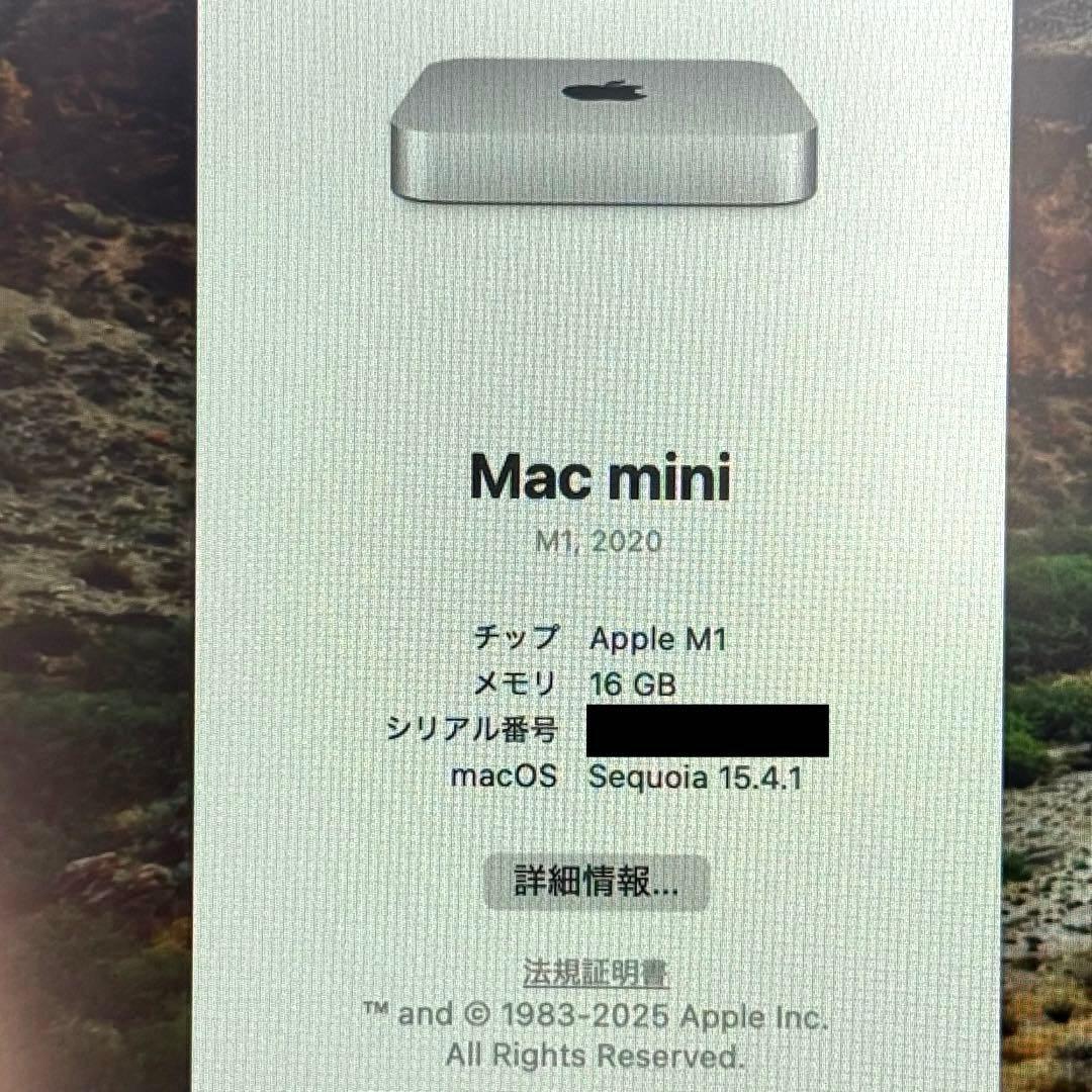 Apple Mac mini M1（メモリ16GB／SSD 256GB）