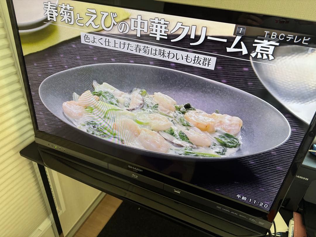 SHARP液晶テレビ32インチ　LC-32DR9