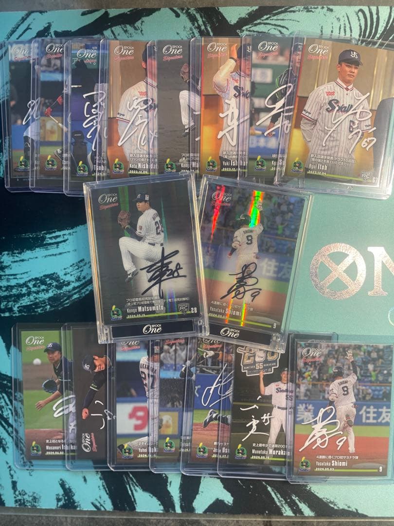 ≪東京ヤクルトスワローズ≫　シグネチャーセット2024