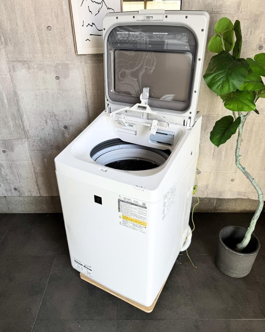 設置まで✨ SHARP 一人暮らし用洗濯機 8kg✨ 2024年製⭕️