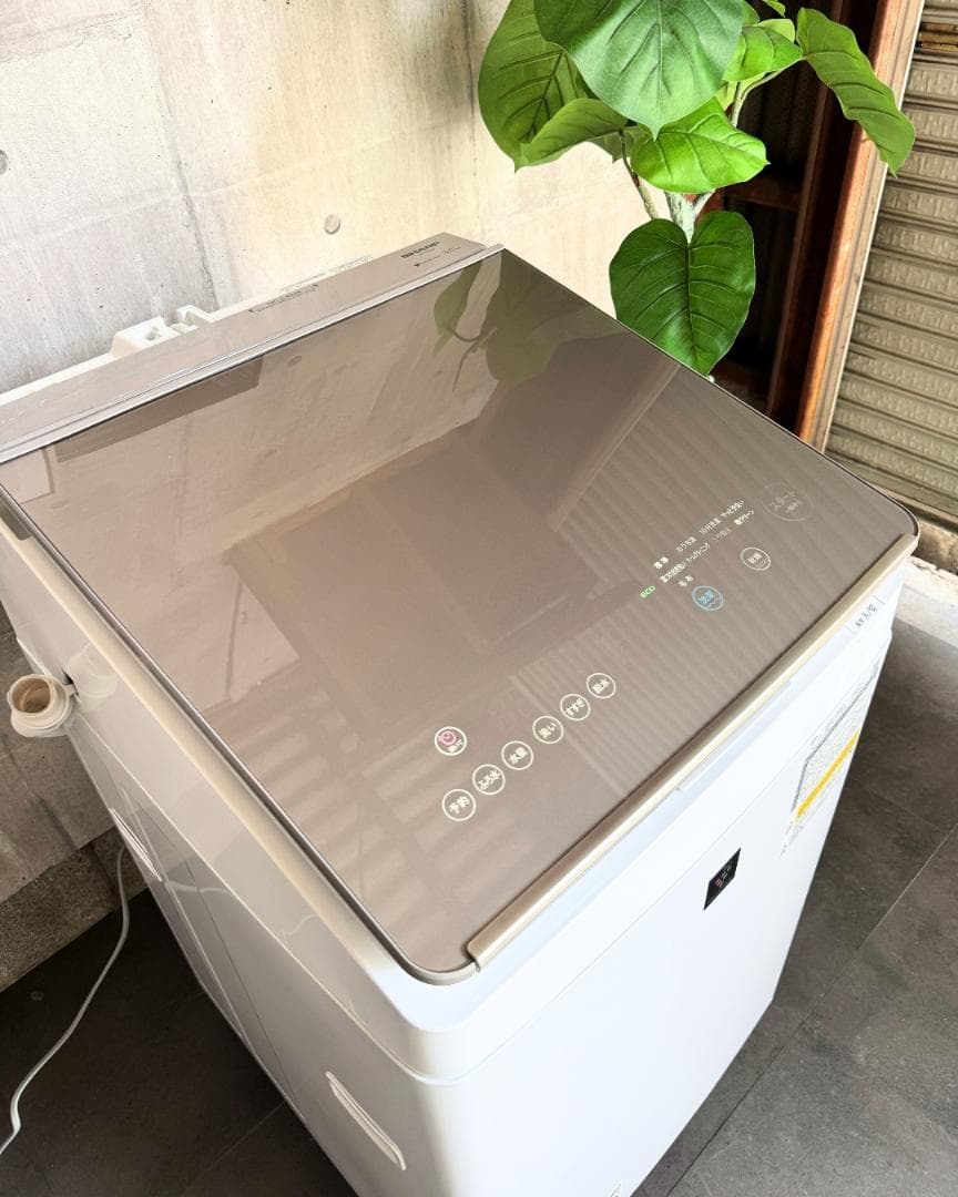 設置まで✨ SHARP 一人暮らし用洗濯機 8kg✨ 2024年製⭕️