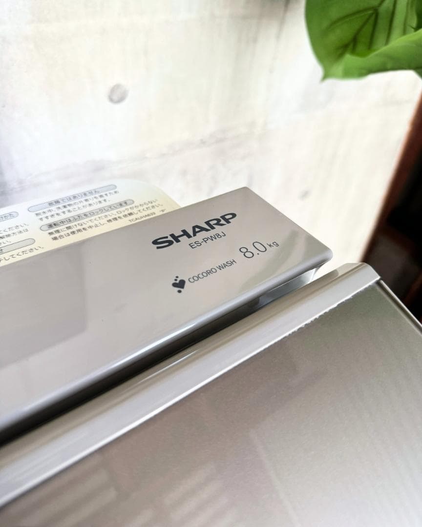 設置まで✨ SHARP 一人暮らし用洗濯機 8kg✨ 2024年製⭕️