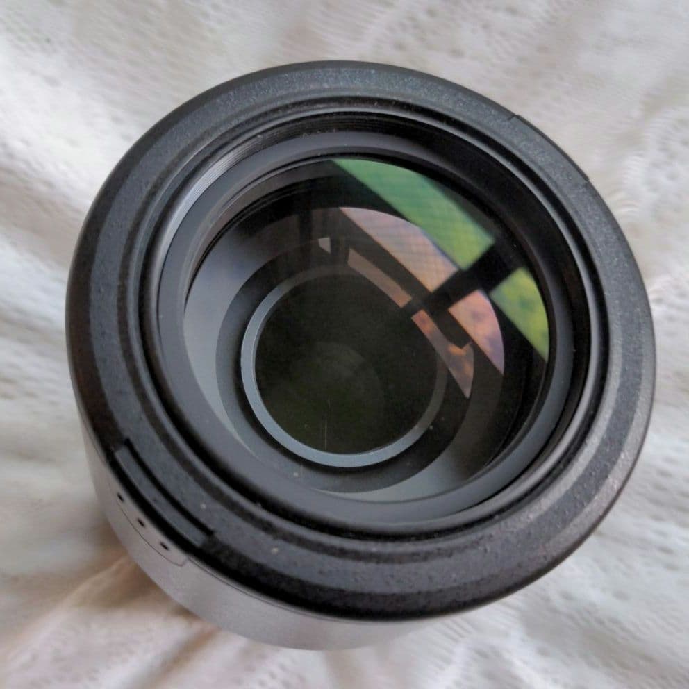 NIKON望遠ズームレンズAF-S DX NIKKOR55-300mm