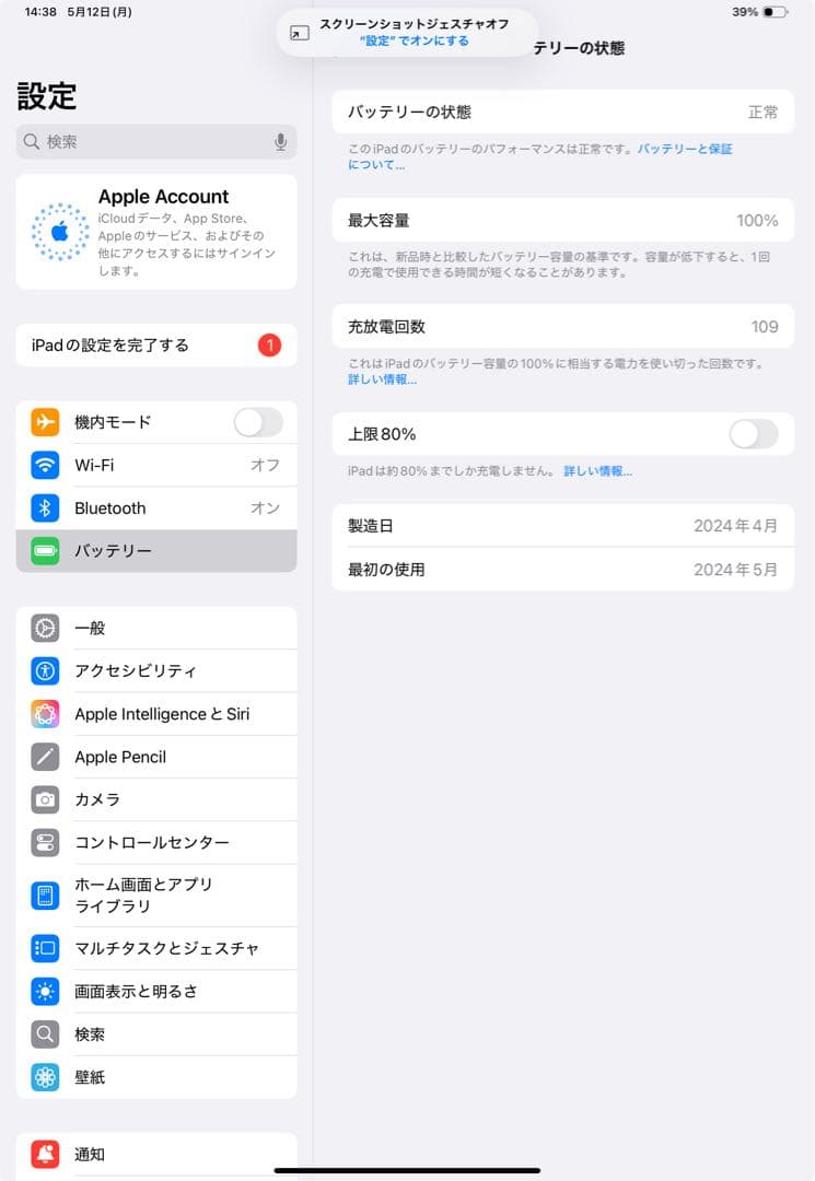 iPad本体 iPad Pro (M4) 11inch