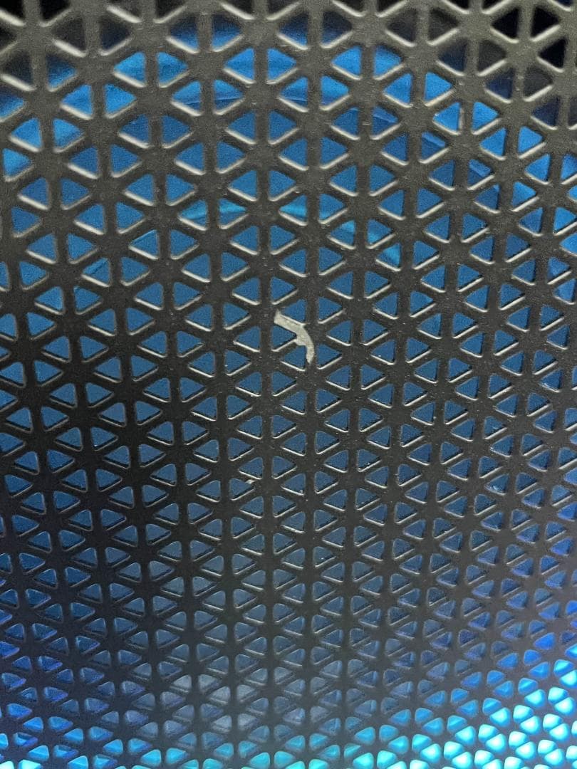 BL Partybox 310 専用ケース付き 中古品