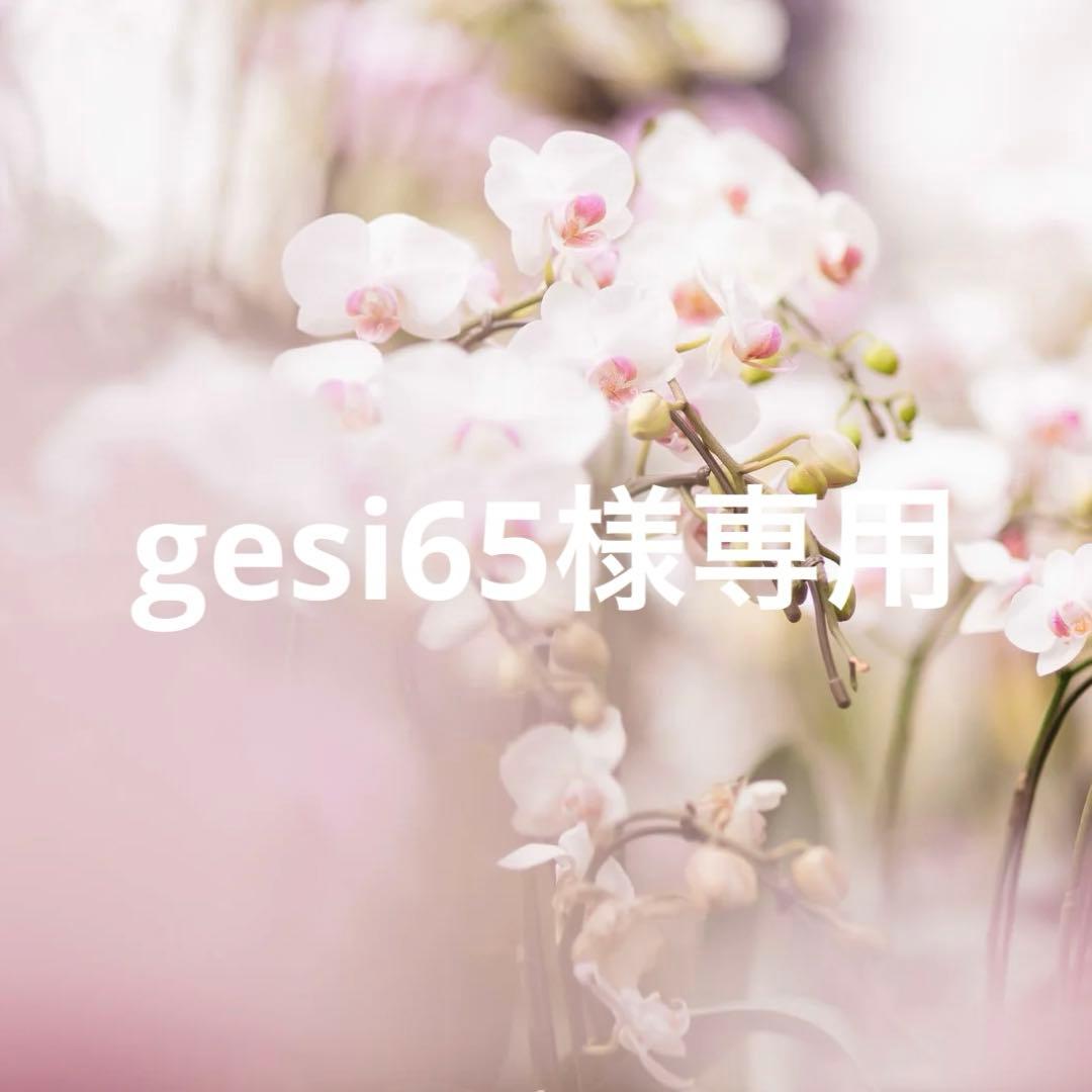 ジャケット・アウター gesi65