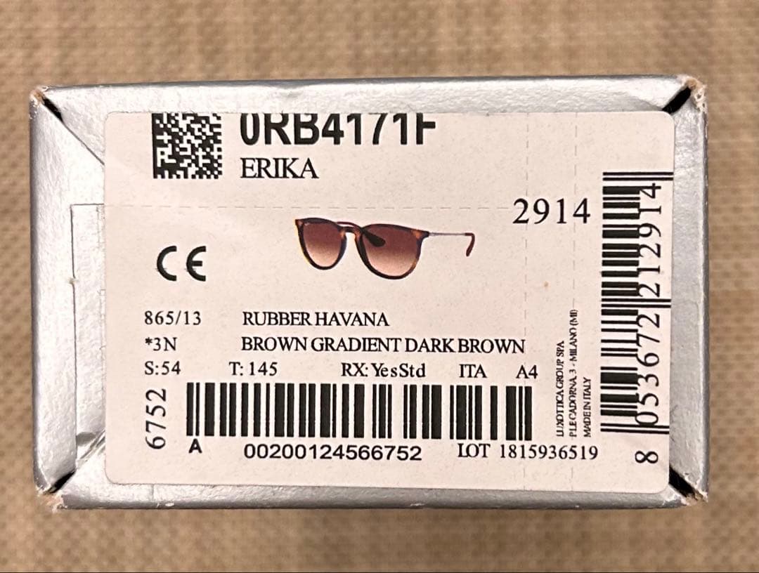 Ray-Ban レイバンErika Classicサングラス