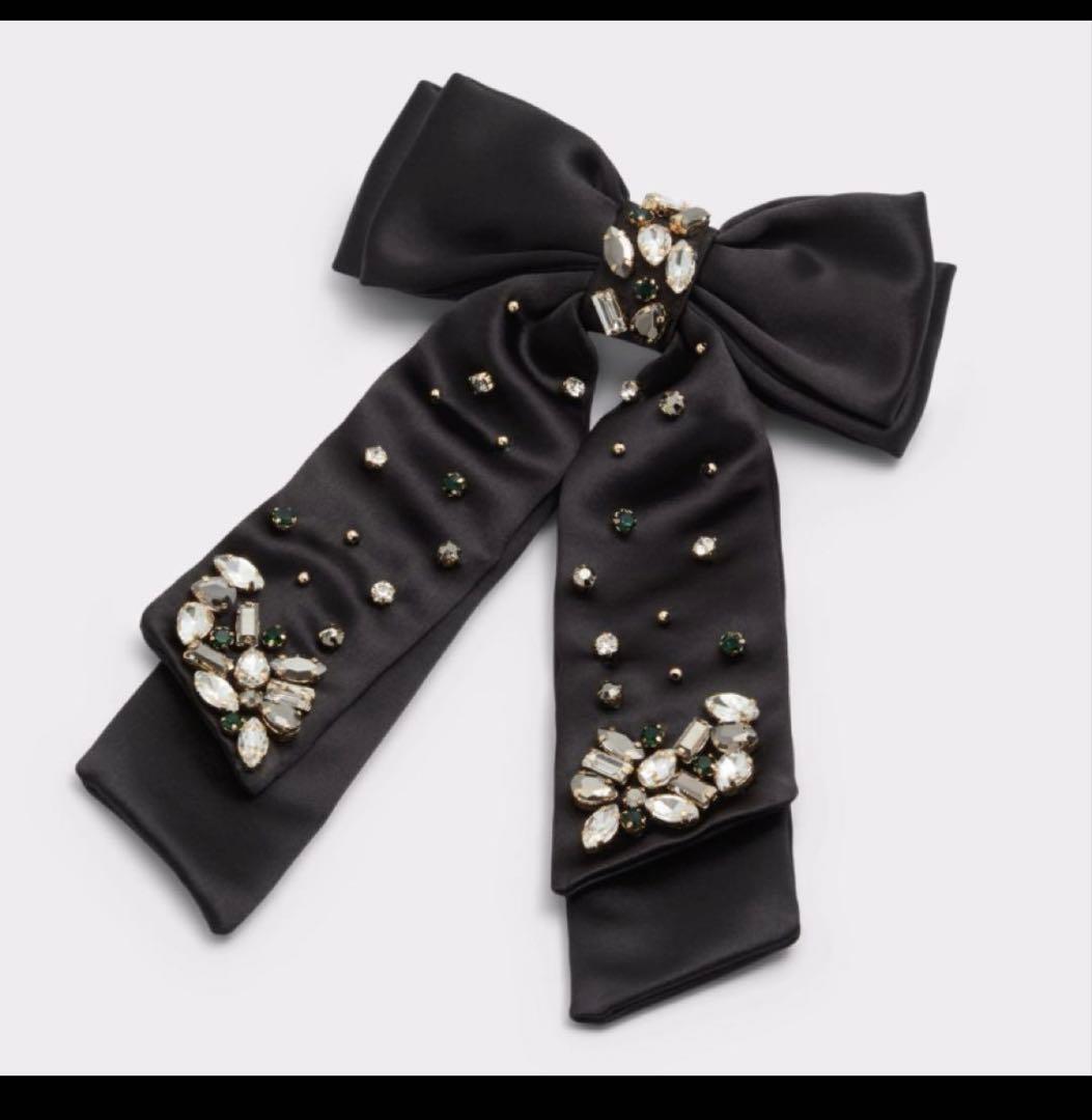 Wicked ALDO Outstandiful ビジュー バレッタ 2点セット