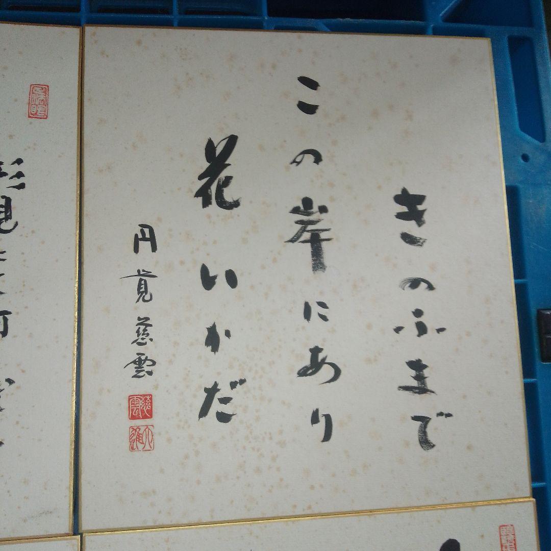 日本の書道 色紙 12枚セット 円覚慈雲
