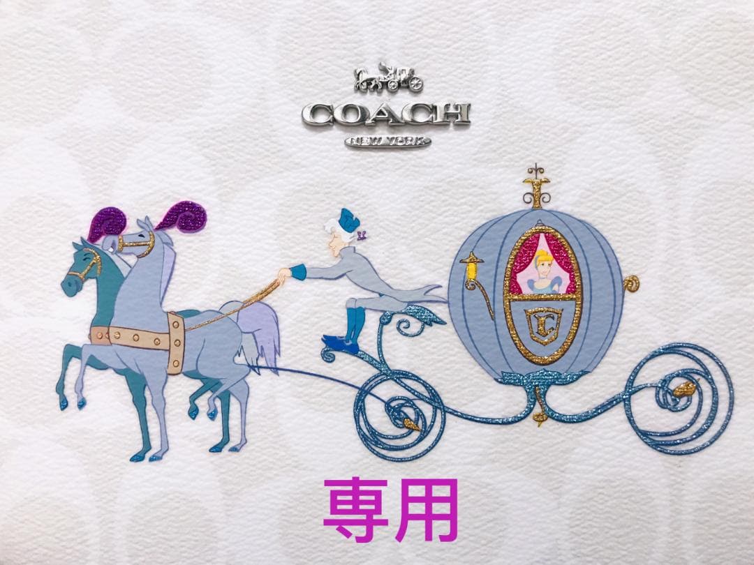 atom 新品COACH  ケース ウォーター バッファロー レザー